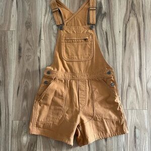 Patagonia Women’s Stand Up Overalls